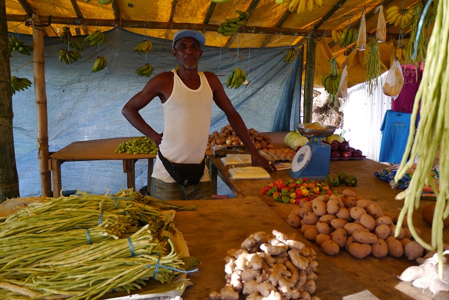 Tobago Charlotteville Gemüse Markt