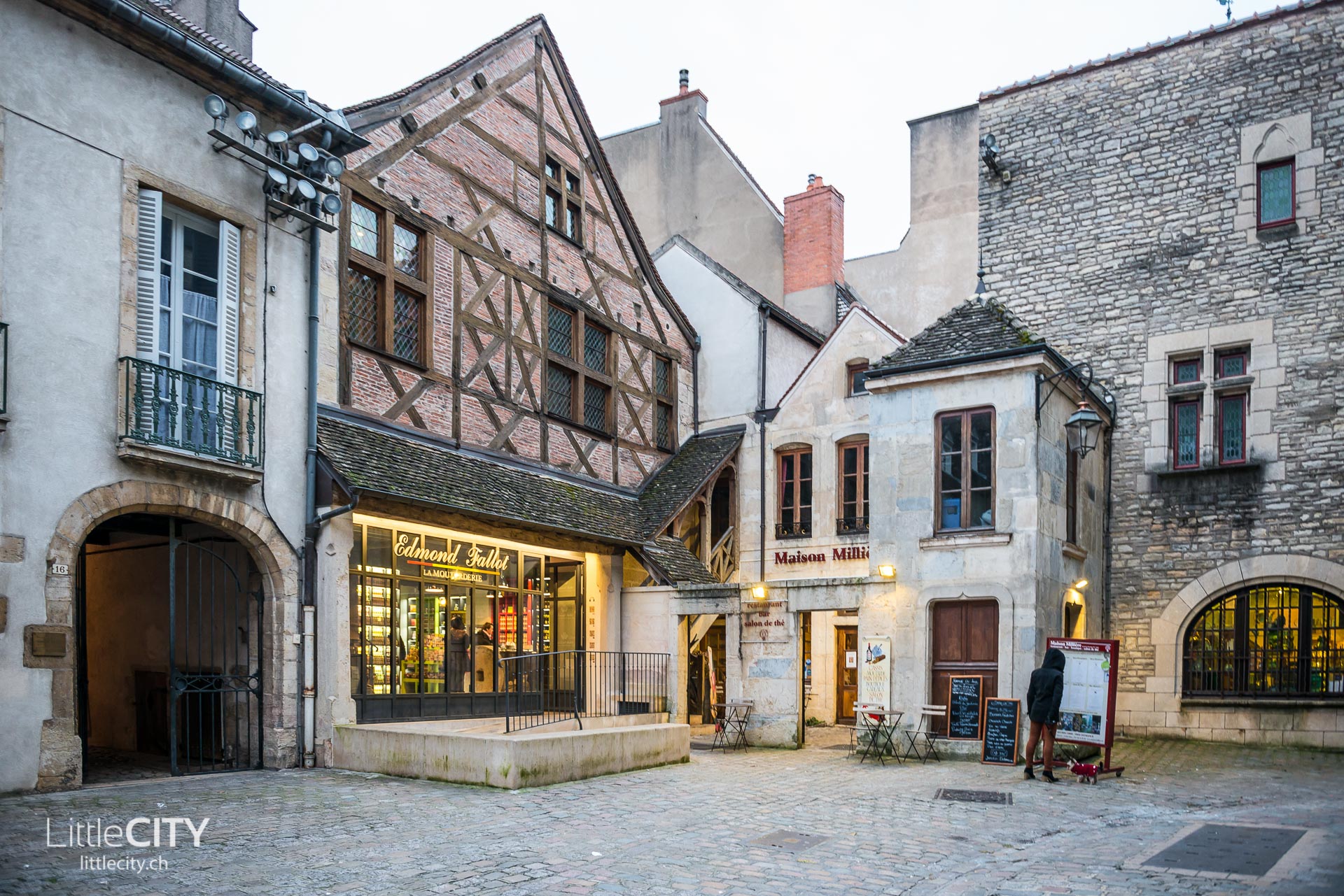Dijon Städtetripp Tipps (1 von 17)