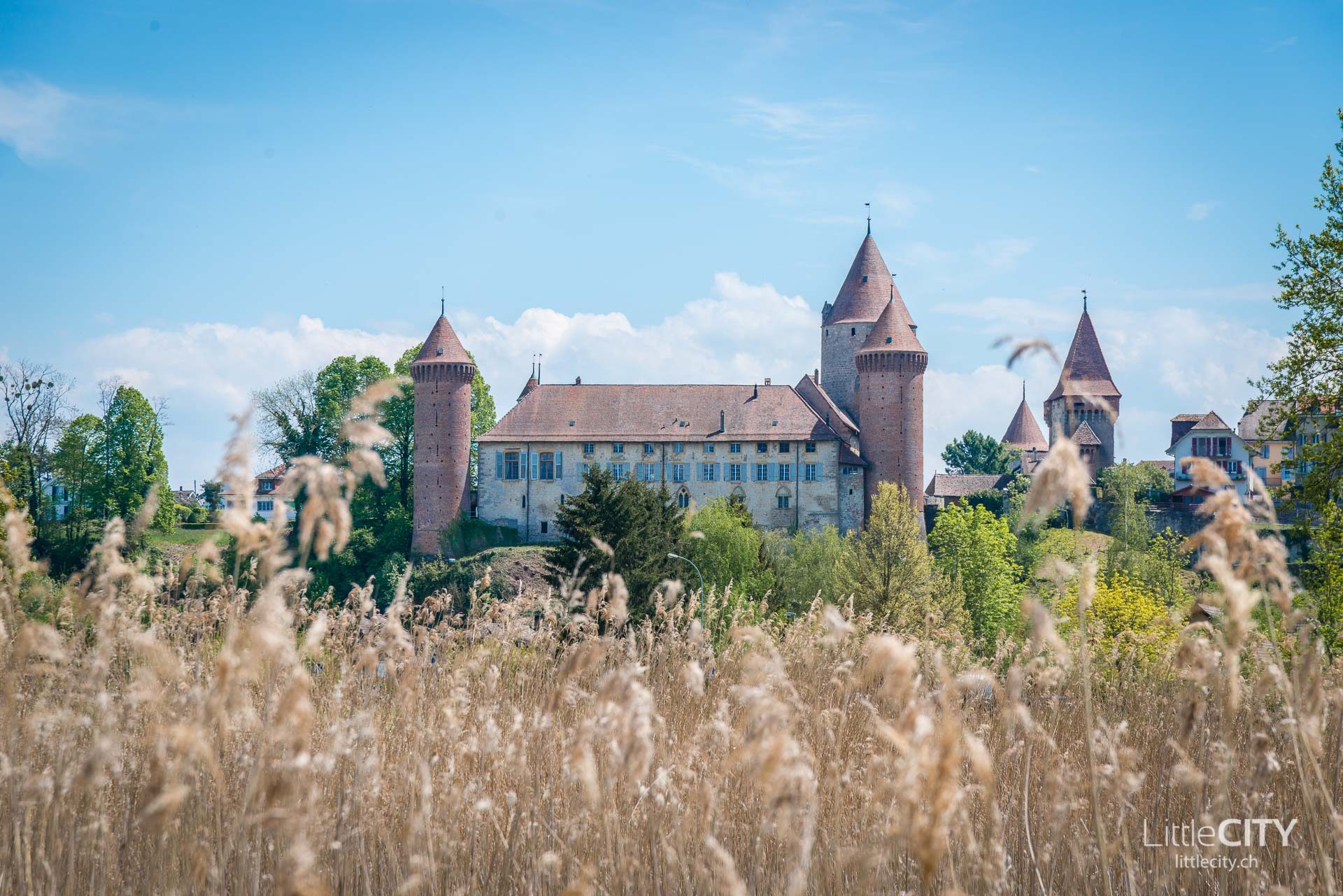 Schloss Chenaux Estavayer le lac 