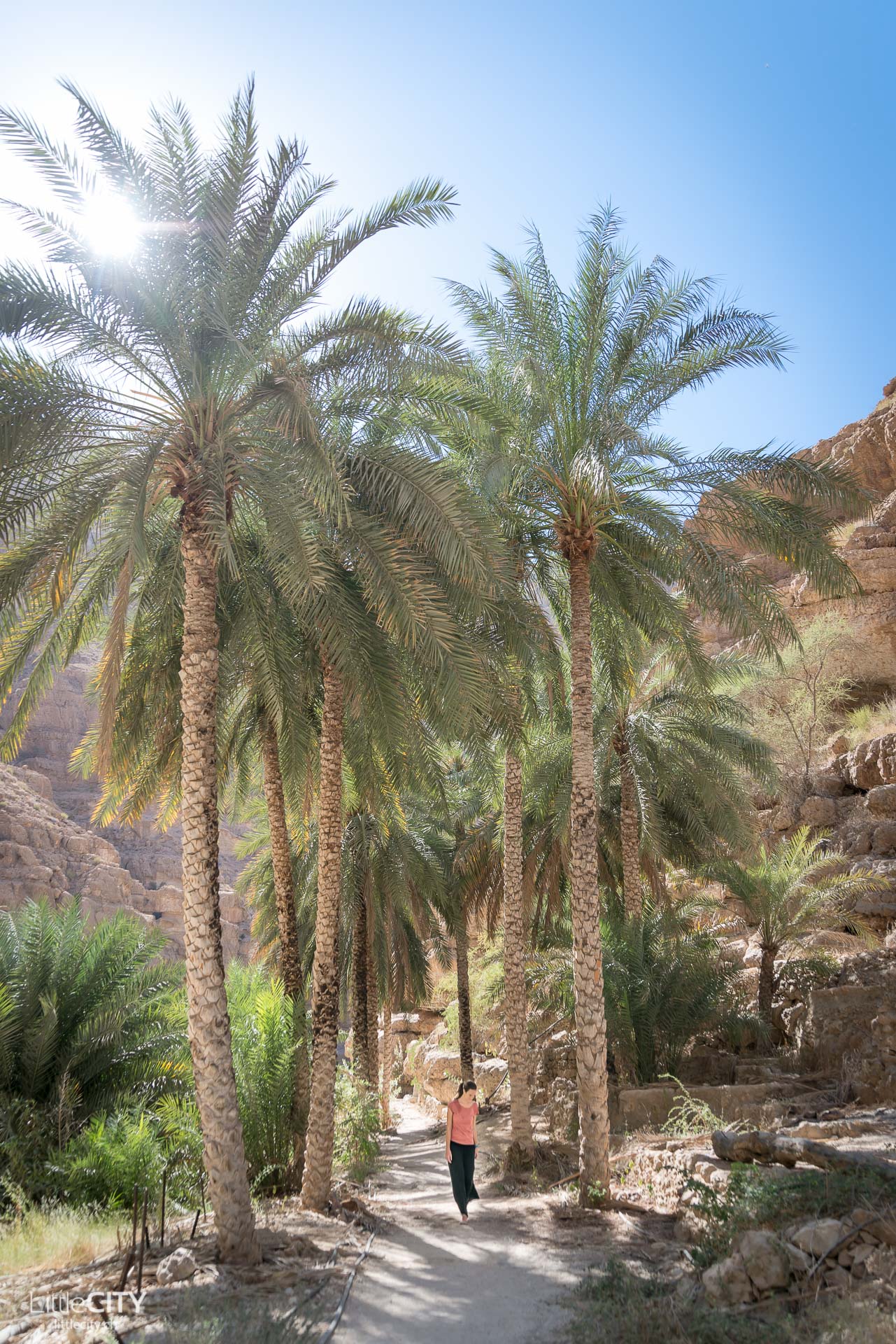 Oman Reisetipps Wadi Shab