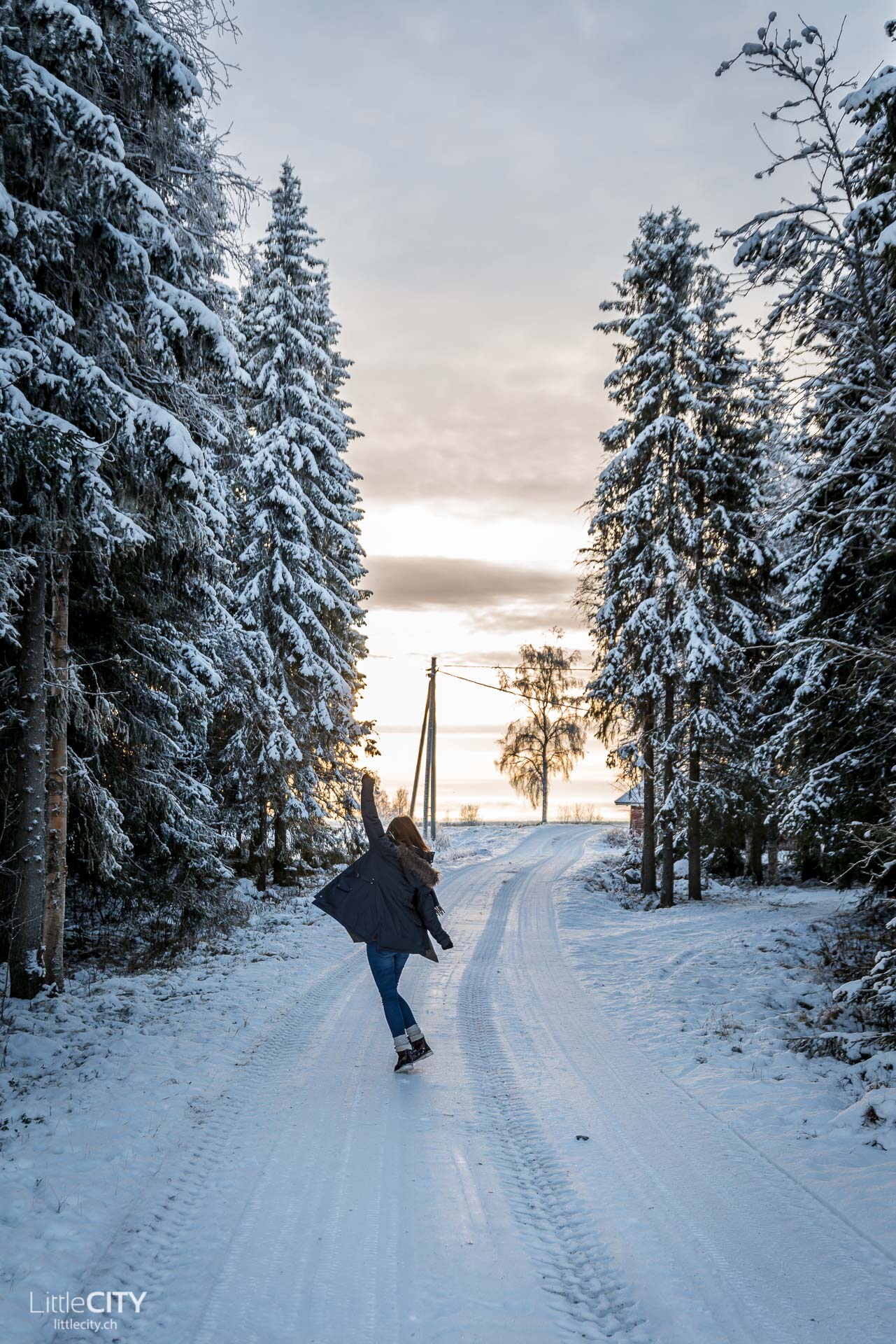 Winter in Ruka Kuusamo im Lappland in Finnland