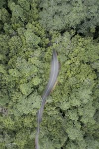 Mahe Seychellen Regenwald Drone Shot