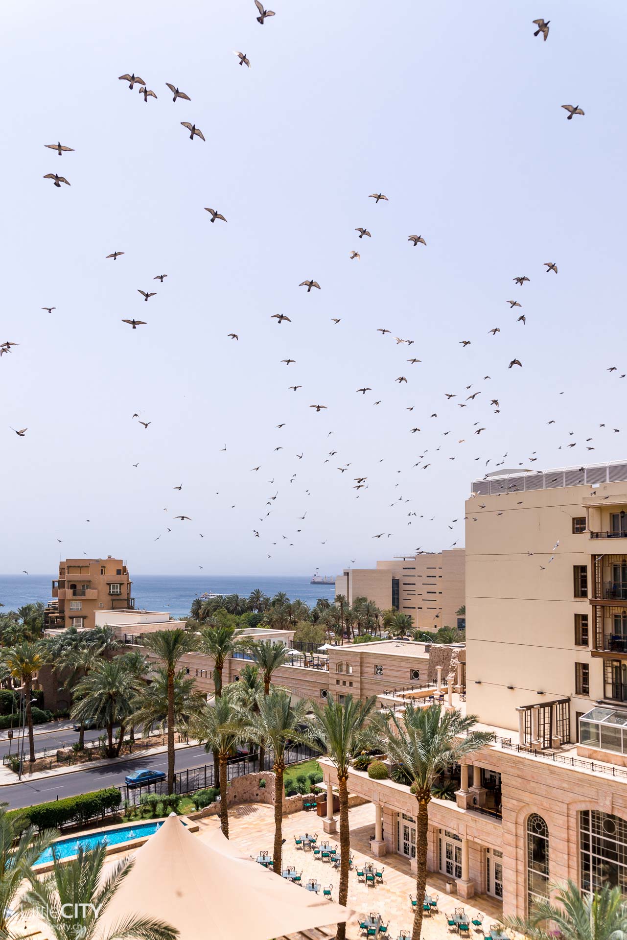 Jordanien Reisetipps Aqaba Mövenpick Hotel