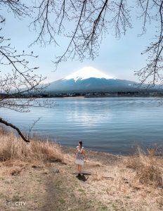 Japan Roadtip: Mount Fuji Kawaguchiko