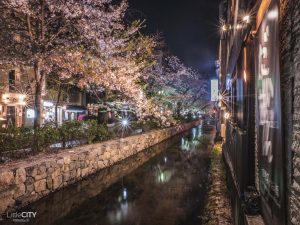 Kyoto Pontcho Area Sehenswürdigkeiten