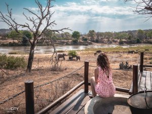 Südafrika Olifants River Safari