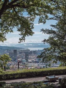 Zürich Aussicht vom Käferberg Waid