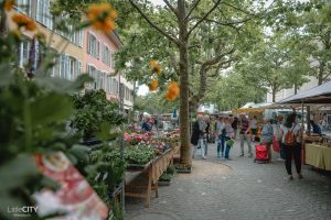 Aarau Wochenmarkt Samstag