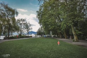 Buvette Inseli Park Luzern